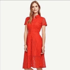 Ann Taylor Scarlet Orange Eyelet Dress